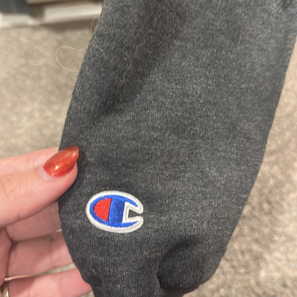 Champion Princeton University Crewneck Sweatshirt - Picture 2 of 4